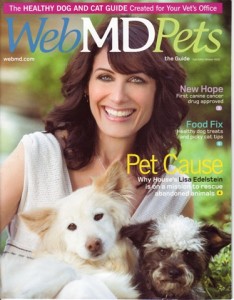 WebMDcover
