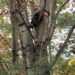 IMG_0015