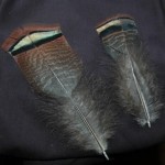 feather