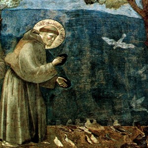 saint-francis-jpeg-photo1-300x300