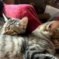 A Year of Firsts