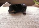 AUT_2084.thumbnail
