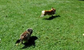 DSC_2235.jpg