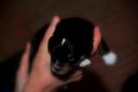 DTM_0168.thumbnail