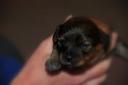 DTM_0170.thumbnail