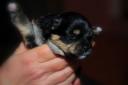 DTM_0173.thumbnail