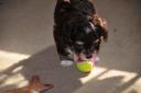 DTM_0905.thumbnail