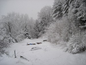 IMG_0248.jpg