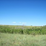 IMG_0445