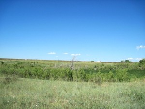IMG_0445