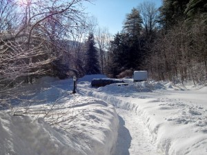 IMG_0812.jpg