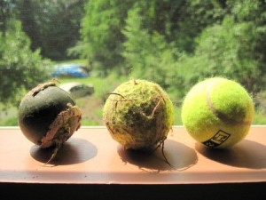 IMG_1121.jpg