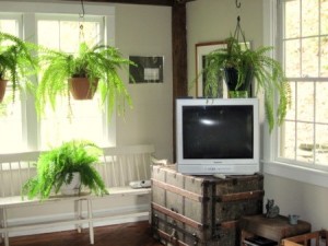 IMG_1126.jpg