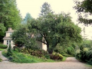 IMG_1338.jpg