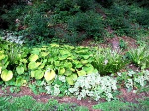 IMG_1343.jpg