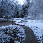 IMG_1447.jpg