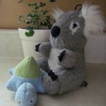 IMG_1460.jpg