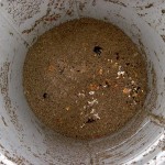 IMG_1505.jpg