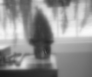 Rosemary-cropped.jpg
