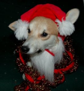 Bee last Christmas